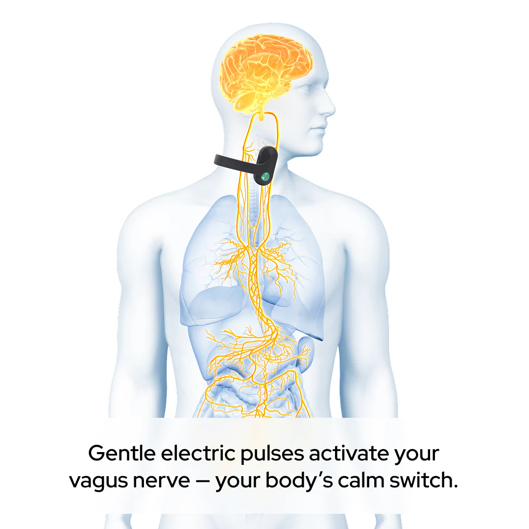 Pulsetto vagus nerve stimulation device. - Image 4